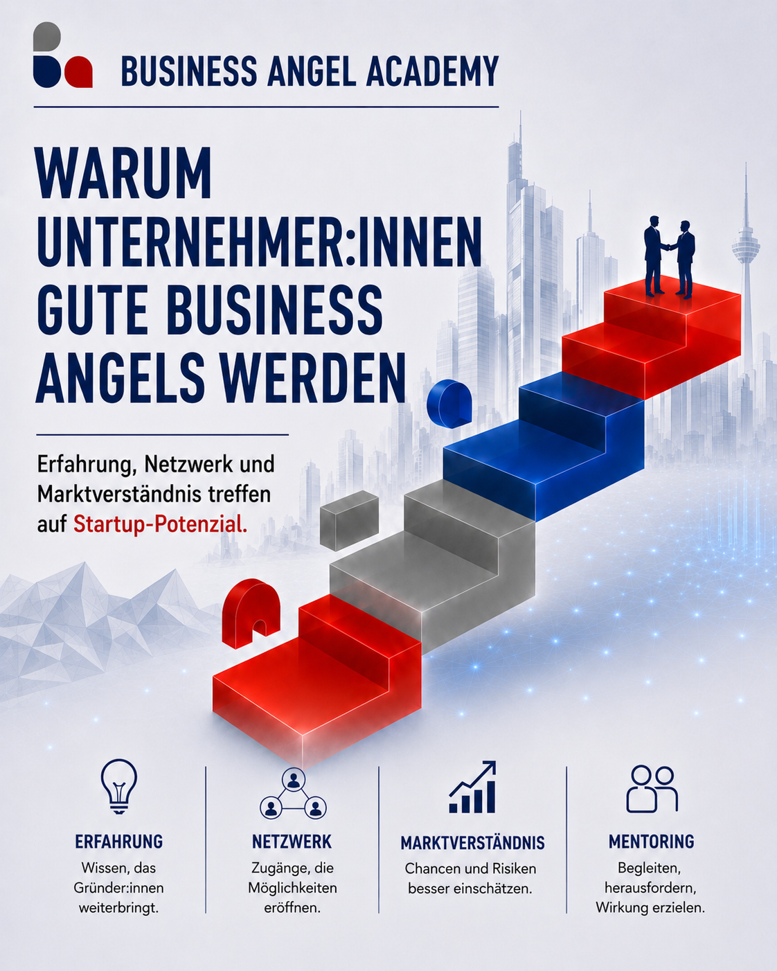 Business Angel Academy P3